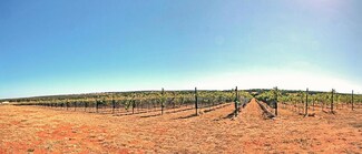 367 Weidenbach Rd, Fredericksburg, TX 78624