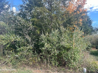 149 Gado Way, Loudon, TN 37774