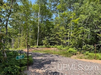 8690 Freda Shores Rd, Stanton Township, MI 49905