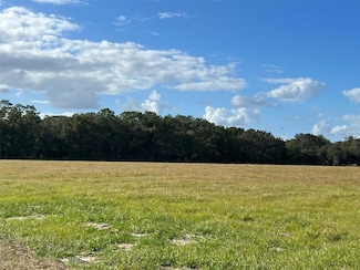 TBD SE 74th Lane Rd, Ocklawaha, FL 32179