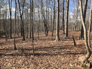 30-B Cosmos Trail, Dunlap, TN 37327