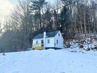 1 Vermont 106, Reading, VT 05062