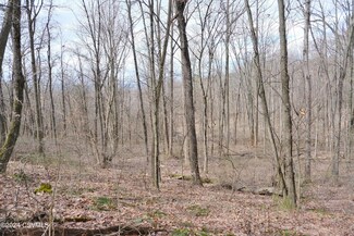 530 Tall Oak Ln, Lewisburg, PA 17837