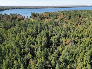 0 Champs Elysee's Rd, Newton Township, MI 49838