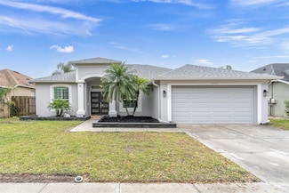 19123 Cherry Rose Cir, Lutz, FL 33558
