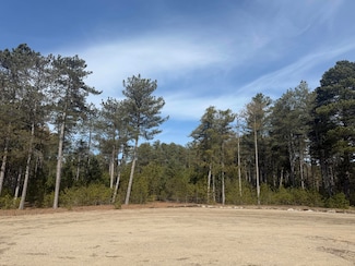 V/L W Pine Acres Trail, Hart, MI 49420