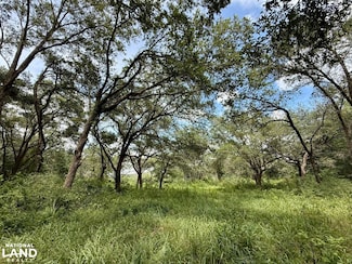 0 Christian Acres Rd, Grand Bay, AL 36541