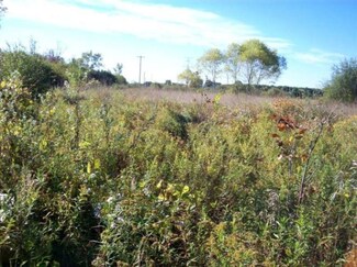0 Maple Island Rd Unit 13057924, Brunswick, MI 49425