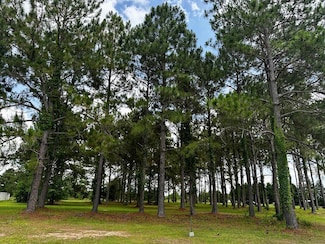0 Orchard Cir, Tifton, GA 31794