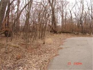 0 Lot 6 Chippewa-Road- Unit 4396552, Henning, MN 56588