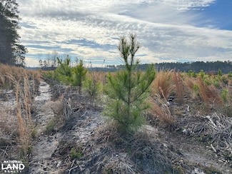 0 Mulberry Rd Unit 22536201, Saint George, SC 29477