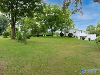 2476 County Road 76, Fyffe, AL 35971