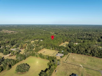 0 Faraway Farm Rd Unit 392634, Chaires, FL 32317
