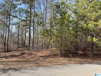 0 Wright Way Dr Unit 10 21408162, Wedowee, AL 36278