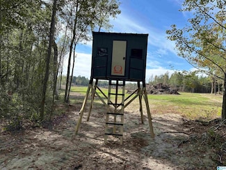 3265 County Road 53, Lafayette, AL 36862