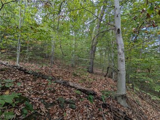 0 Township Road 289 Unit 5070257, Hammondsville, OH 43930