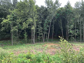 50890 Summit Ridge Trail Unit 45, South Bend, IN 46628