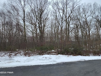 111 Walton Way, Conashaugh Lakes, PA 18337