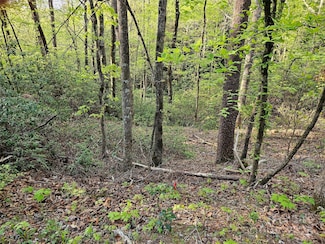 0 Huntington Rd Unit 54 CAR4212383, Lake Lure, NC 28746
