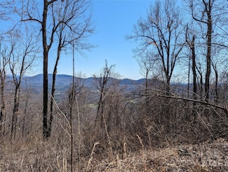 2687 Creston Dr Unit T-26, Black Mountain, NC 28711