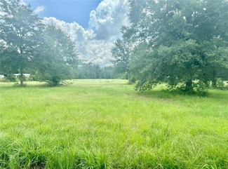31256 N Cafeline Rd, Tickfaw, LA 70466