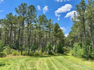 0 Fork Hill Rd Unit 1, Heath Springs, SC 29058