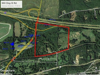 960 Doy B Rd, Conway, AR 72034