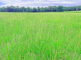 TBD St Augustine Rd Parcel #1, Monticello, FL 32344