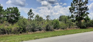109 Park Ave, Lake Wales, FL 33855