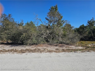 560 Morningside Dr, Lake Placid, FL 33852