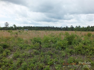 523 Oak Ridge Church Rd, Kershaw, SC 29067