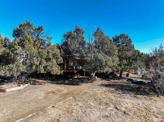 2338 County Road 228, Durango, CO 81301