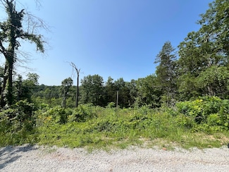 Lot 10 Button Wood Dr, Theodosia, MO 65761