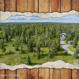 17215 Lunchbox Dr, Ninilchik, AK 99639