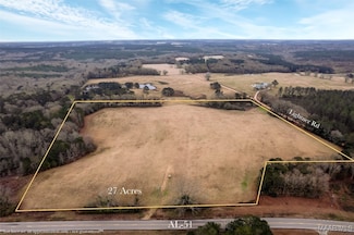 61 Doster Rd, Ariton, AL 36311