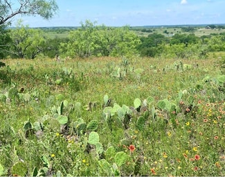 Lot 59 Comanche Lake Rd, Comanche, TX 76442