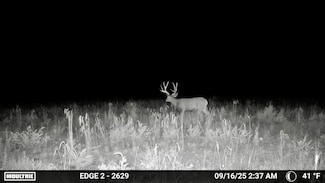 163 Cr 402 Rd, Lindrith, NM 87029