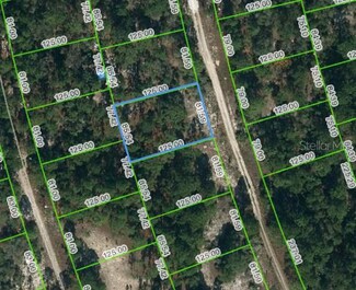 210 Fascination Dr, Lake Placid, FL 33852