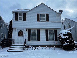17505 Flamingo Ave, Cleveland, OH 44135