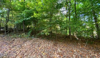 L57 Ted Logsdon Rd, Clarkson, KY 42726