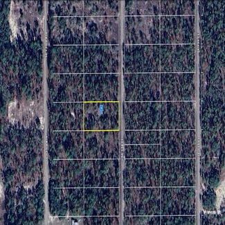 Unassigned, Dunnellon, FL 34431
