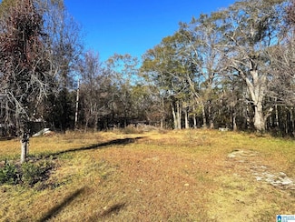 39684 Alabama 77 Unit .97 acre, Ashland, AL 36251