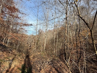Bull Creek Lot Unit Wp001, Prestonsburg, KY 41653
