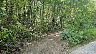811 Eastside Duck Mountain Rd, Scaly Mountain, NC 28775