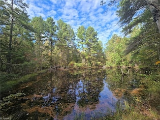 0 Bass Mountain Rd Unit 1199025, Snow Camp, NC 27349