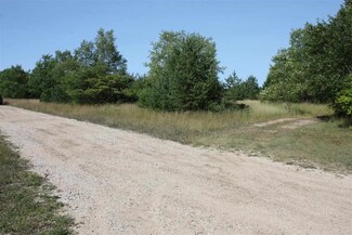 0 Easy St Unit 1789344, Buckley, MI 49620