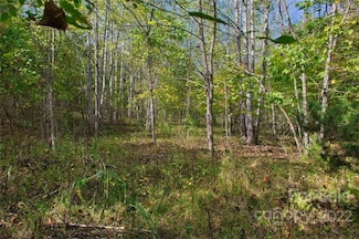 0 Chimney Creek Ln Unit 194 CAR3897982, Rutherfordton, NC 28139