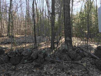 36 Effingham Rd, Ossipee, NH 03864