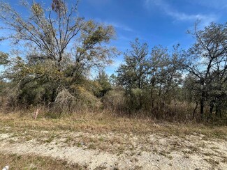 TBD Lakeview Trail, Interlachen, FL 32148
