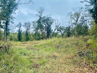 294 E Dade 68, Greenfield, MO 65661